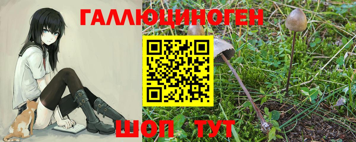 Галлюциногенные грибы прущие грибы Муравленко